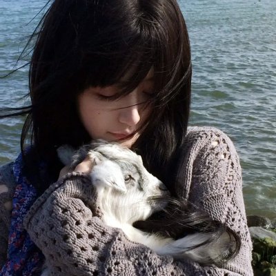 海军忠犬马克斯